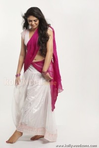 Actress Sherin Sexy Pictures