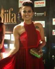 Actress Shraddha Srinath At Iifa Utsavam  Pictures