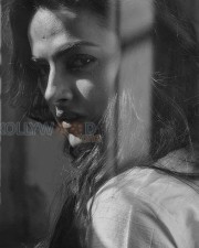 Shraddha Srinath 12 Actress Shraddha Srinath Latest Photos