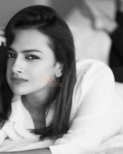 Shraddha Srinath 13 Actress Shraddha Srinath Photoshoot Pictures