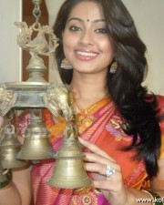 Actress Sneha In Saree Photos