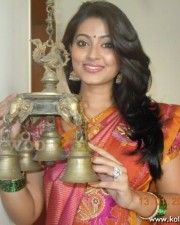Actress Sneha In Saree Photos