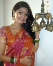 Actress Sneha In Saree Photos