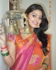 Actress Sneha In Saree Photos