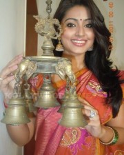 Actress Sneha In Saree Photos