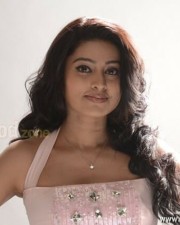 Actress Sneha New Photos