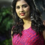 Actress Srushti Dange At Oye Ninne Audio Launch Photos 01Actress Srushti Dange At Oye Ninne Audio Launch Photos 01 svg%3E