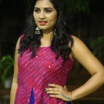 Actress Srushti Dange At Oye Ninne Audio Launch Photos 16Actress Srushti Dange At Oye Ninne Audio Launch Photos 16 svg%3E