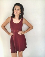 Taapsee Pannu 2 Actress Taapsee Pannu New Photos
