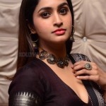 Actress Tanya Ravichandran at Raja Vikramarka Movie Pre Release Event Photos 12 Actress Tanya Ravichandran at Raja Vikramarka Movie Pre Release Event Photos 12