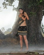 Taapsee Pannu 52 Actress Tapsee Hot Rain Photos