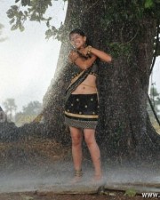 Taapsee Pannu 51 Actress Tapsee Hot Rain Photos