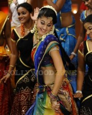 Taapsee Pannu 60 Actress Tapsee In Traditional Dress Photos