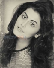 Taapsee Pannu 6 Actress Tapsee Pannu New Photoshoot Pictures