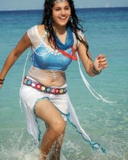 Taapsee Pannu 44 Actress Tapsee Pannu Spicy Hot Pictures
