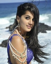 Taapsee Pannu 52 Actress Tapsee Sexy In Mogudu Movie Photos