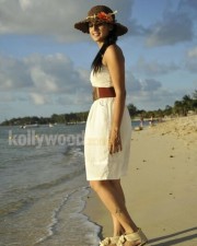 Taapsee Pannu 50 Actress Tapsee Sexy In Mogudu Movie Photos