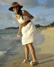 Taapsee Pannu 47 Actress Tapsee Sexy In Mogudu Movie Photos