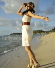 Taapsee Pannu 46 Actress Tapsee Sexy In Mogudu Movie Photos