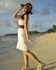 Taapsee Pannu 45 Actress Tapsee Sexy In Mogudu Movie Photos