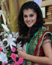 Actress Tapsee Sexy Pictures