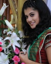 Actress Tapsee Sexy Pictures