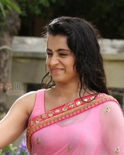 Actress Trisha Hot Wet Saree Sexy Photos