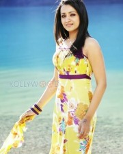 Actress Trisha Sexy Stills