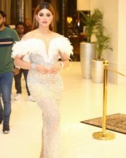 Actress Urvashi Rautela at The Legend Movie Pre Release Event Pictures 06