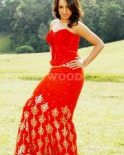 Actress trisha latest stills