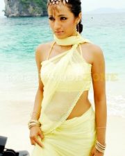 Actress trisha latest stills