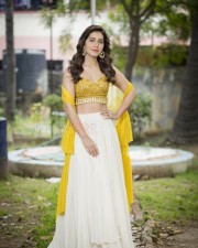 Raashii Khanna 6 Adangamaru Heroine Rashi Khanna Stills
