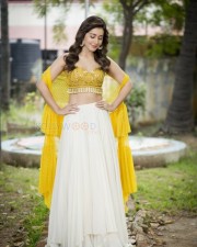 Raashii Khanna 4 Adangamaru Heroine Rashi Khanna Stills