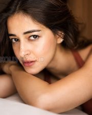 Alluring Actress Ananya Panday in a Rust Red Spaghetti Strap Dress Photos 05 Alluring Actress Ananya Panday in a Rust Red Spaghetti Strap Dress Photos 05