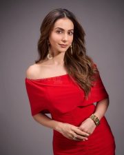 Alluring Actress Rakul Preet in a crimson red strapless bardot top with gold hoop earrings photos 02