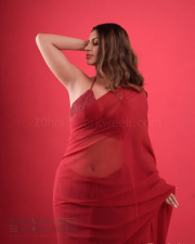 Alluring Actress Yashika Aannand in a Red Sheer Saree with Sequin Blouse Photos 04