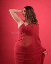 Alluring Actress Yashika Aannand in a Red Sheer Saree with Sequin Blouse Photos 04 1