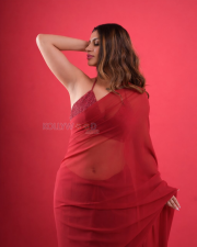 Alluring Actress Yashika Aannand in a Red Sheer Saree with Sequin Blouse Photos 04 1