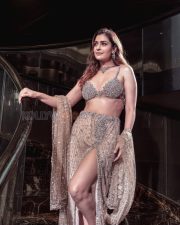 Alluring Payal Rajput Cleavage in a Silver Embellished Bra Top Sheer Slit Skirt Photos 01