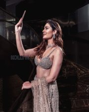 Alluring Payal Rajput Cleavage in a Silver Embellished Bra Top Sheer Slit Skirt Photos 03