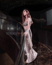 Alluring Payal Rajput Cleavage in a Silver Embellished Bra Top Sheer Slit Skirt Photos 06