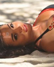 Amy Jackson Hot Bikini Photos