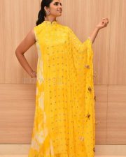 Anchor Shyamala Yellow Dress Pictures