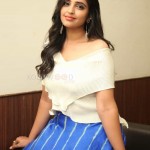 Anchor Shyamala at Maestro Movie Pre Release Event Pictures 18 Anchor Shyamala at Maestro Movie Pre Release Event Pictures 18