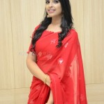 Anchor Syamala at Love Story Success Meet Photos 02 Anchor Syamala at Love Story Success Meet Photos 02