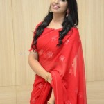Anchor Syamala at Love Story Success Meet Photos 03 Anchor Syamala at Love Story Success Meet Photos 03