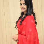 Anchor Syamala at Love Story Success Meet Photos 04 Anchor Syamala at Love Story Success Meet Photos 04