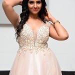 Anchor Syamala at Manmadhudu 2 Movie Pre-Release Event Pictures 21Anchor Syamala at Manmadhudu 2 Movie Pre-Release Event Pictures 21 Anchor Syamala at Manmadhudu 2 Movie Pre-Release Event Pictures 21Anchor Syamala at Manmadhudu 2 Movie Pre-Release Event Pictures 21