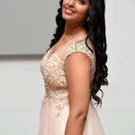 Anchor Syamala at Manmadhudu 2 Movie Pre-Release Event Pictures 23Anchor Syamala at Manmadhudu 2 Movie Pre-Release Event Pictures 23 Anchor Syamala at Manmadhudu 2 Movie Pre-Release Event Pictures 23Anchor Syamala at Manmadhudu 2 Movie Pre-Release Event Pictures 23