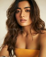 Animal Movie Heroine Rashmika Mandana Sexy Pictures 01